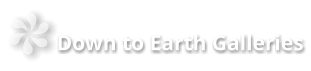 Down to Earth Galleries